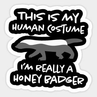 this is my human costume i'm really a honey badger Sticker